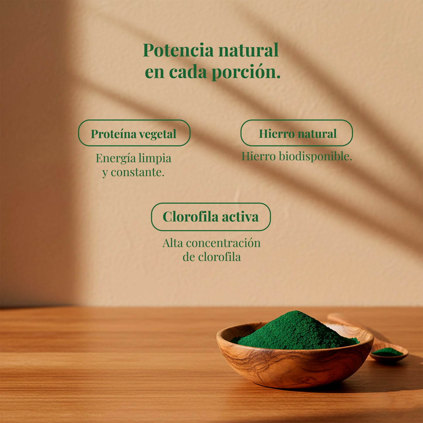 Espirulina en polvo – 100 g